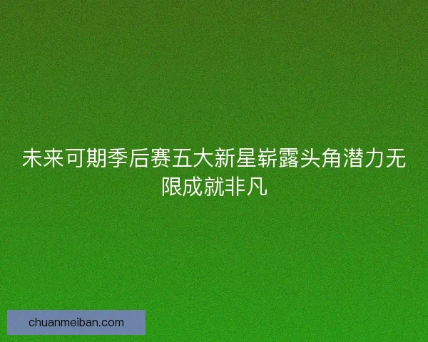 未来可期季后赛五大新星崭露头角潜力无限成就非凡